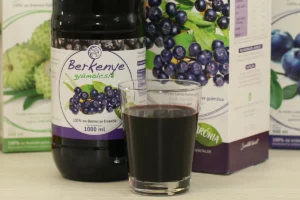 Arónia – Szupergyümölcs és Hagyományos Gyógymód